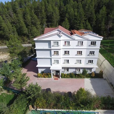Hotel Elvis Mjull-Bethore Dış mekan fotoğraf