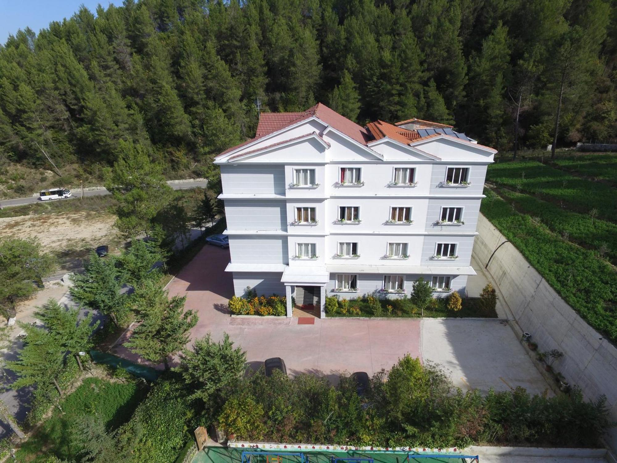 Hotel Elvis Mjull-Bethore Dış mekan fotoğraf